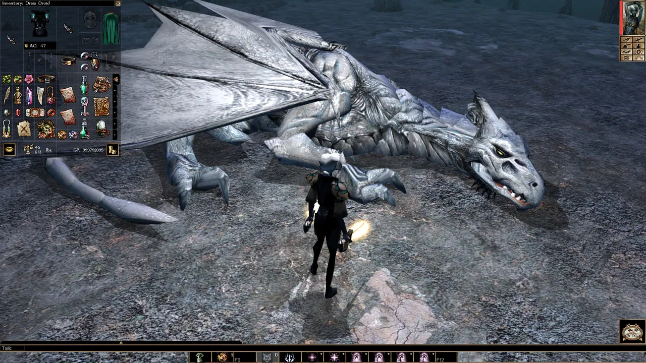 Adventurers in a custom area in Neverwinter Nights: Enhanced Edition