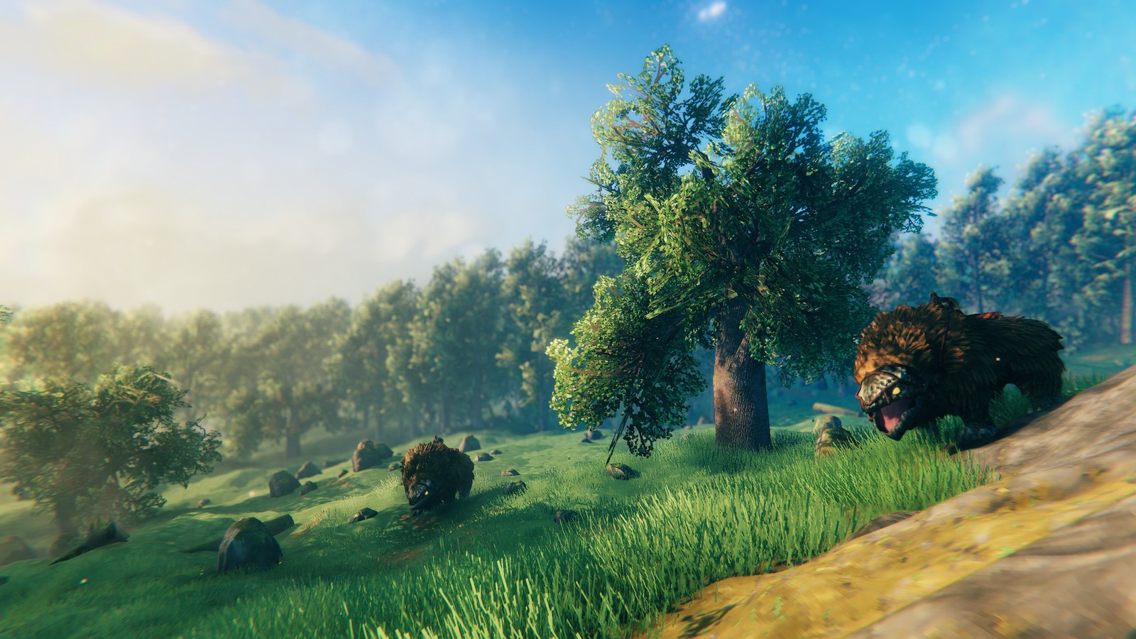 A Valheim meadow with trees and boars, the starting biome every modded world begins in