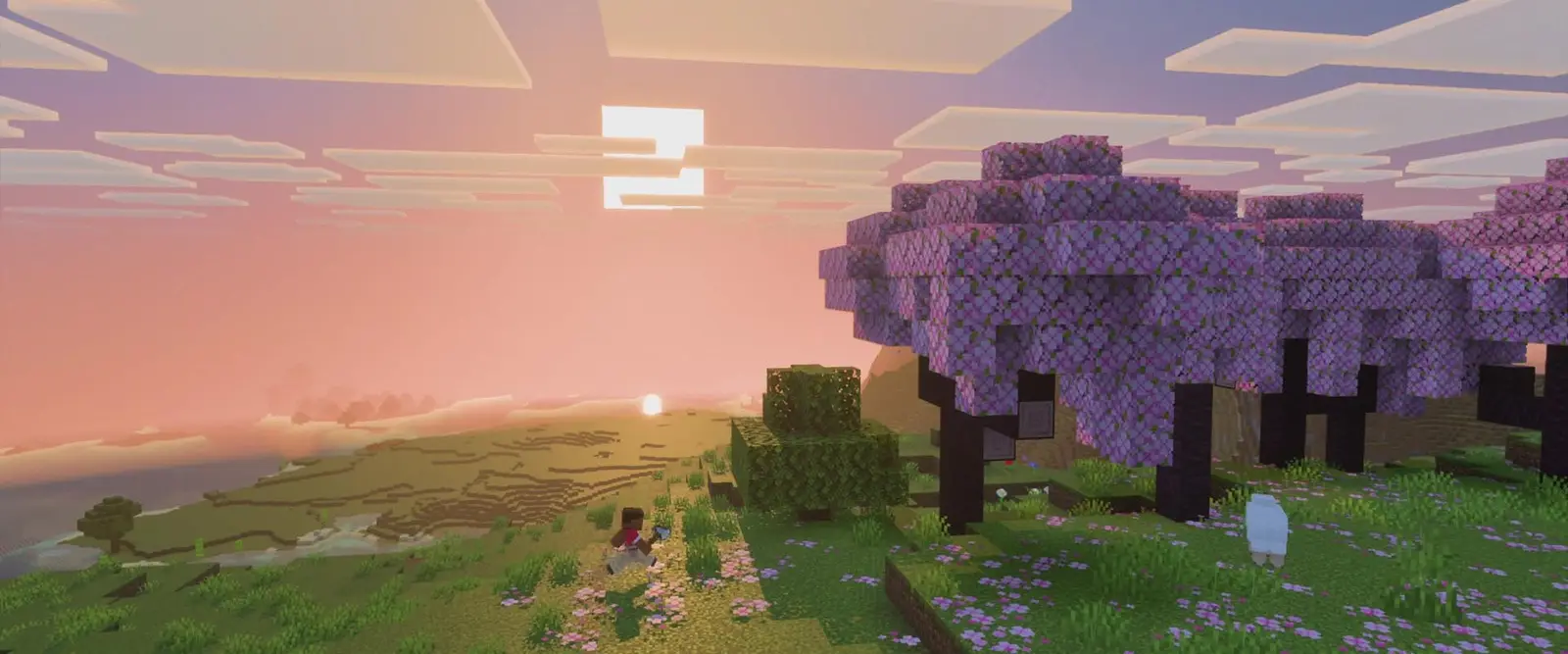 Minecraft: Java Edition server hosting